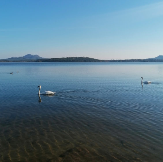 Máchovo jezero